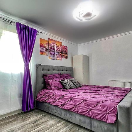 Luxor Ultra-Central Apartments Sibiu Exterior foto